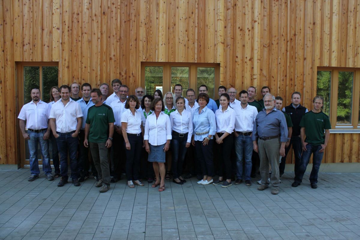 Team
