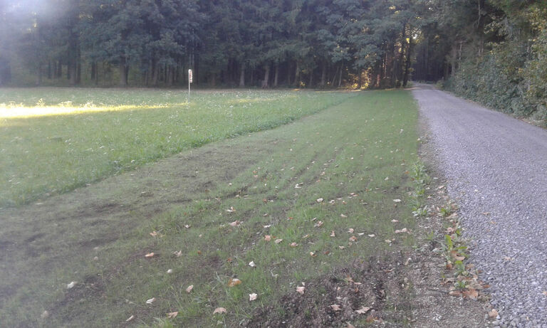 Ansaat nach Umkehrfraese 2