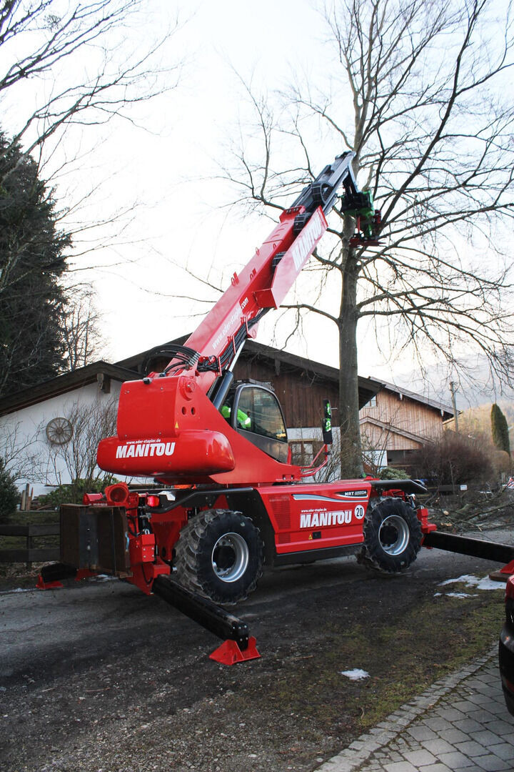 Baumfaellen mit Faellgreifer 2