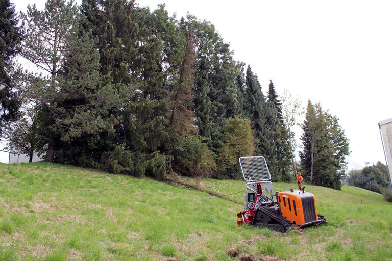 Baumfaellen mit Roboflial1