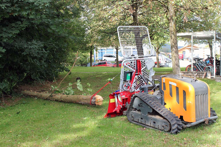 Baumfaellen mit Roboflial2