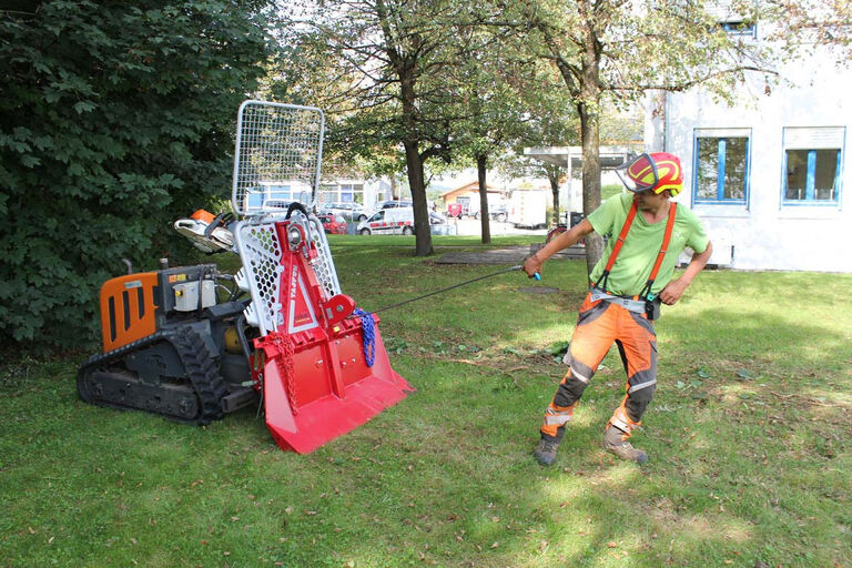 Baumfaellen mit Roboflial3