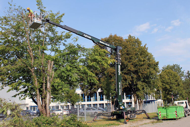 Baumfaellung mit Hebebuehne 3