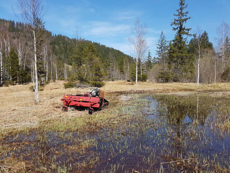 Funkmulcher Bandrechen Auracher Moor2