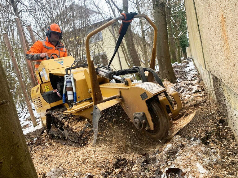 Wurzelstockfraesen 01 2023